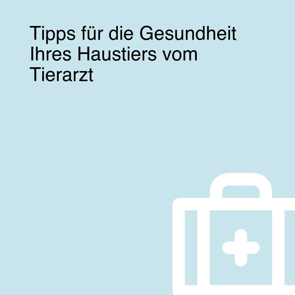 Tipps für die Gesundheit Ihres Haustiers vom Tierarzt