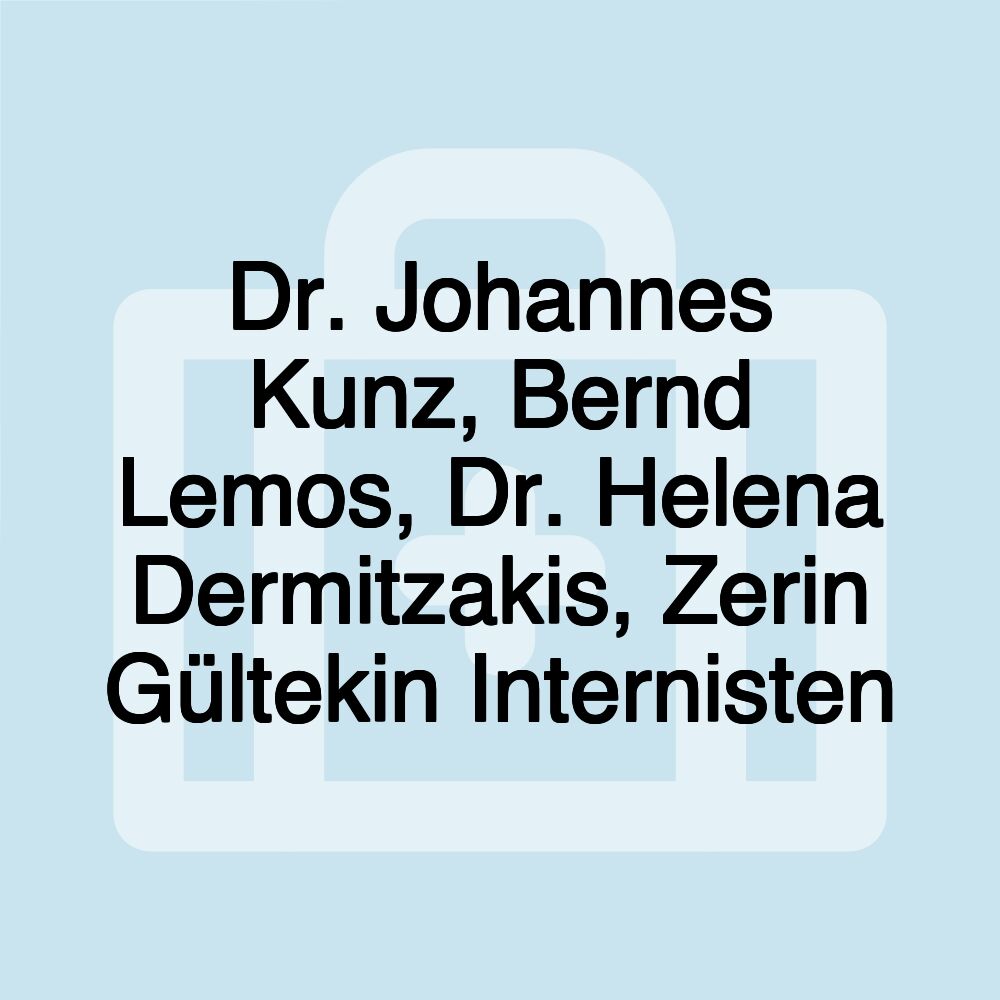 Dr. Johannes Kunz, Bernd Lemos, Dr. Helena Dermitzakis, Zerin Gültekin Internisten