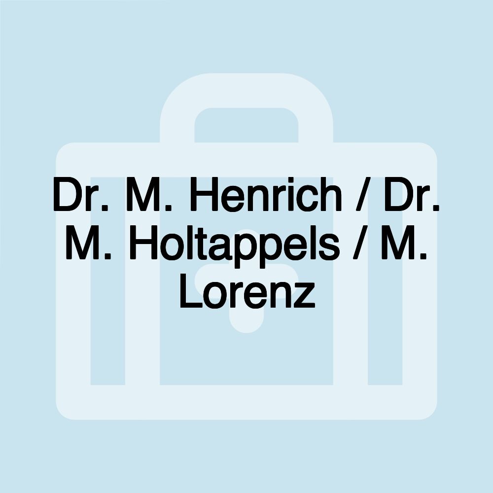 Dr. M. Henrich / Dr. M. Holtappels / M. Lorenz