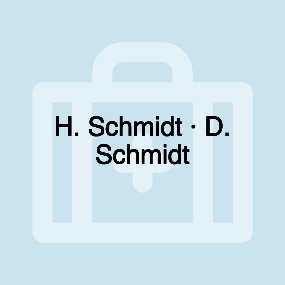 H. Schmidt · D. Schmidt