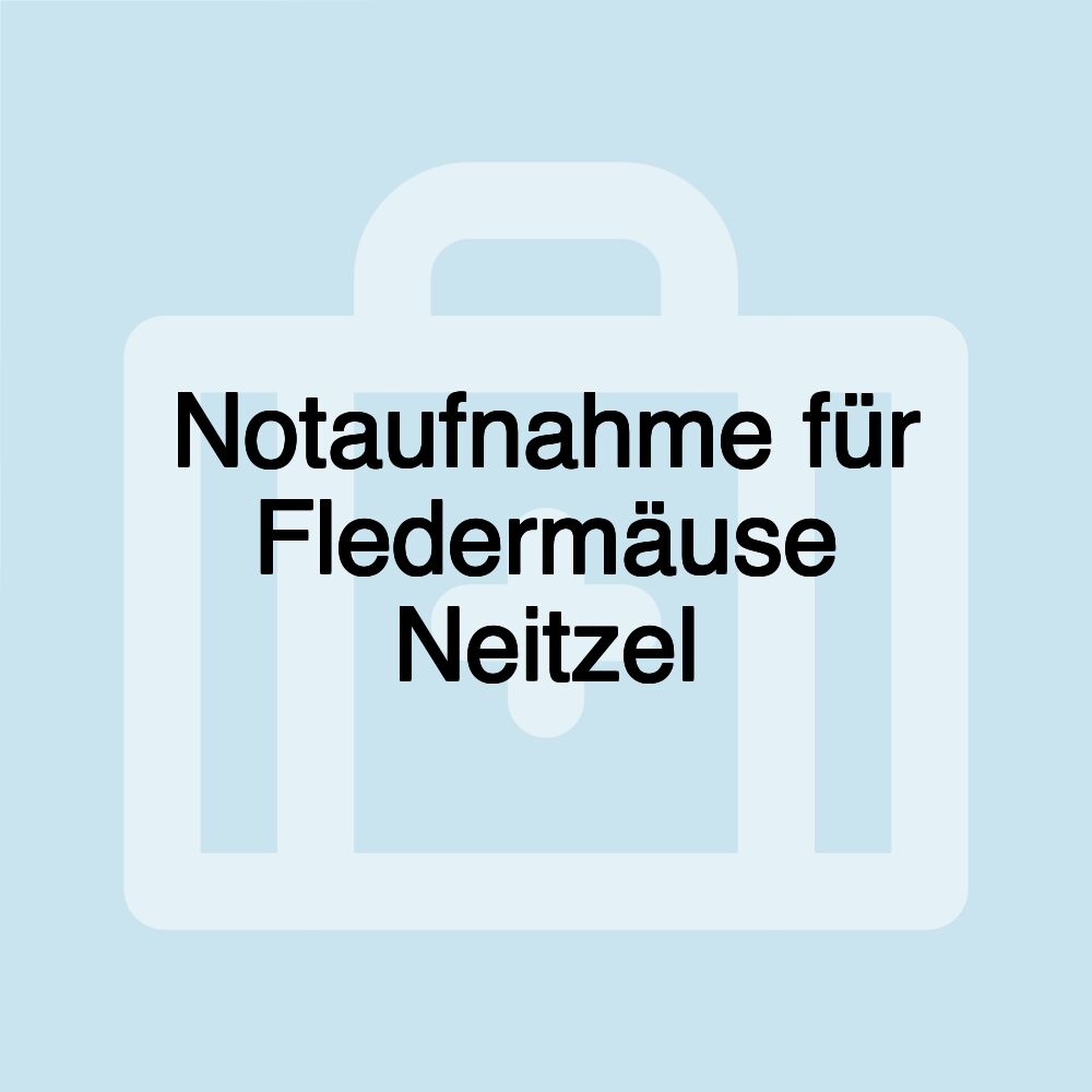 Notaufnahme für Fledermäuse Neitzel