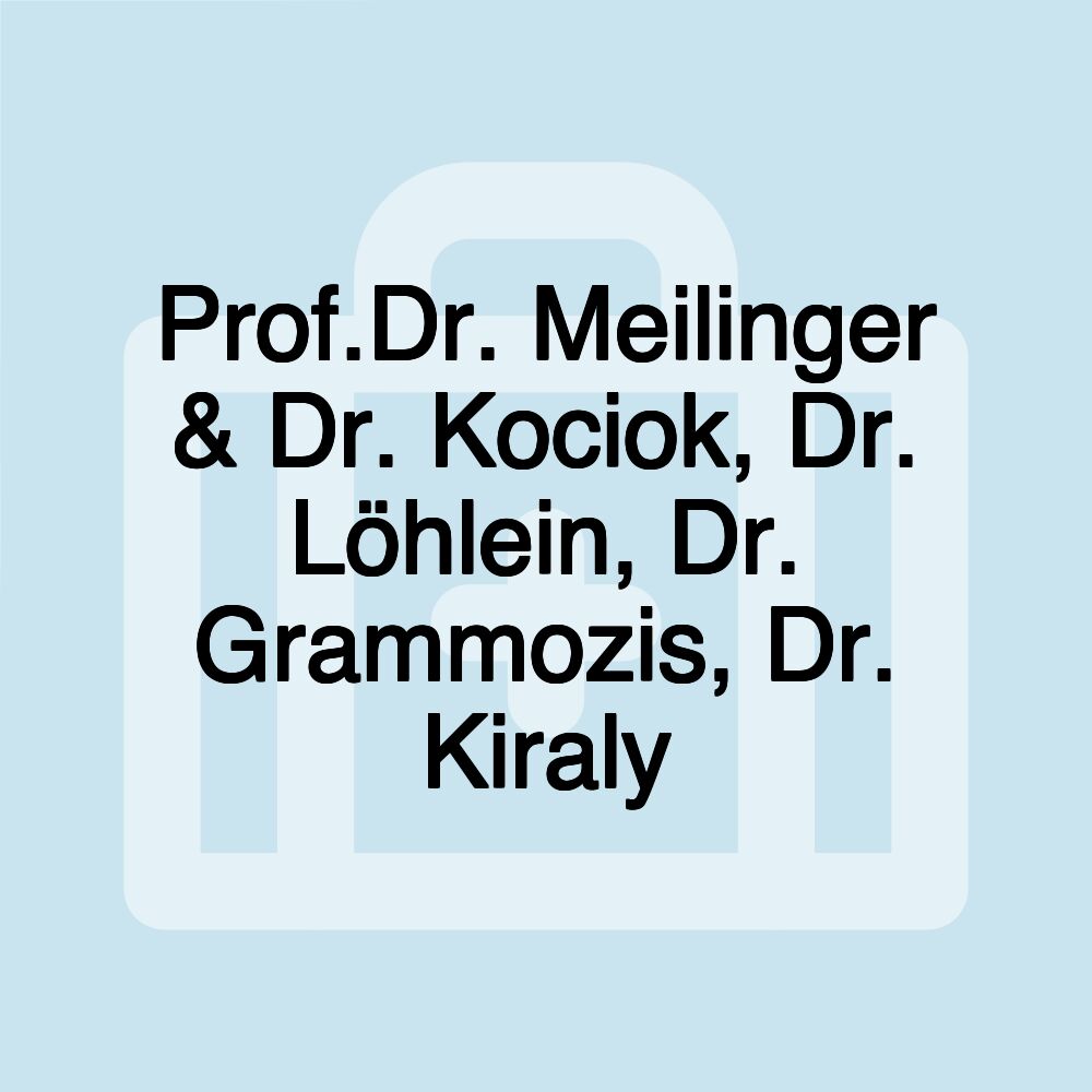 Prof.Dr. Meilinger & Dr. Kociok, Dr. Löhlein, Dr. Grammozis, Dr. Kiraly